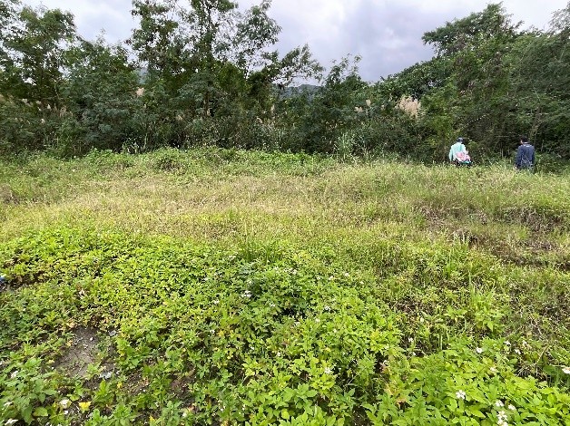 物件照片的詳細放大