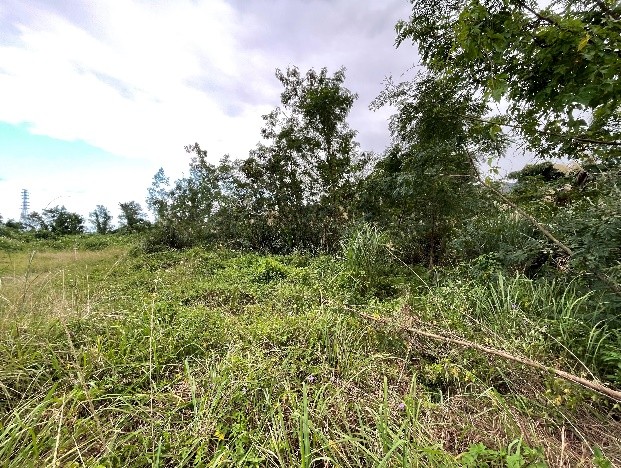 物件照片的詳細放大