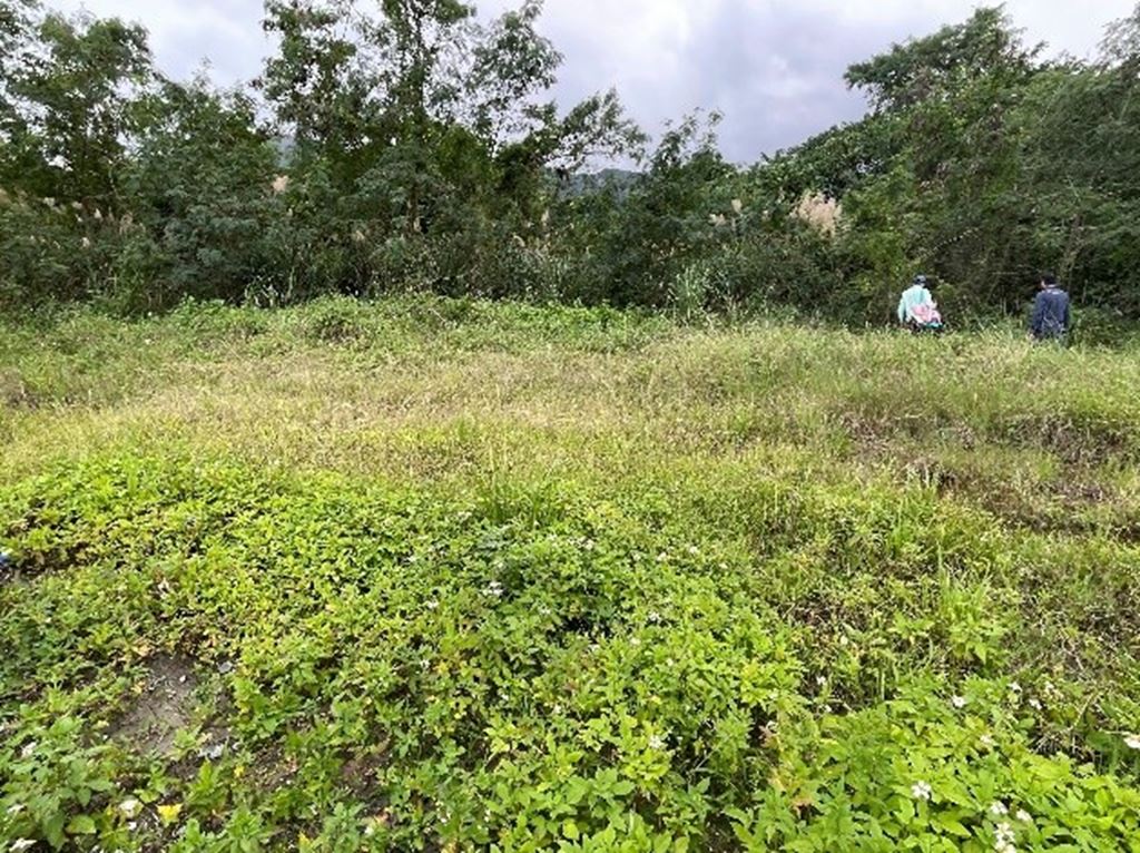 物件照片的縮圖