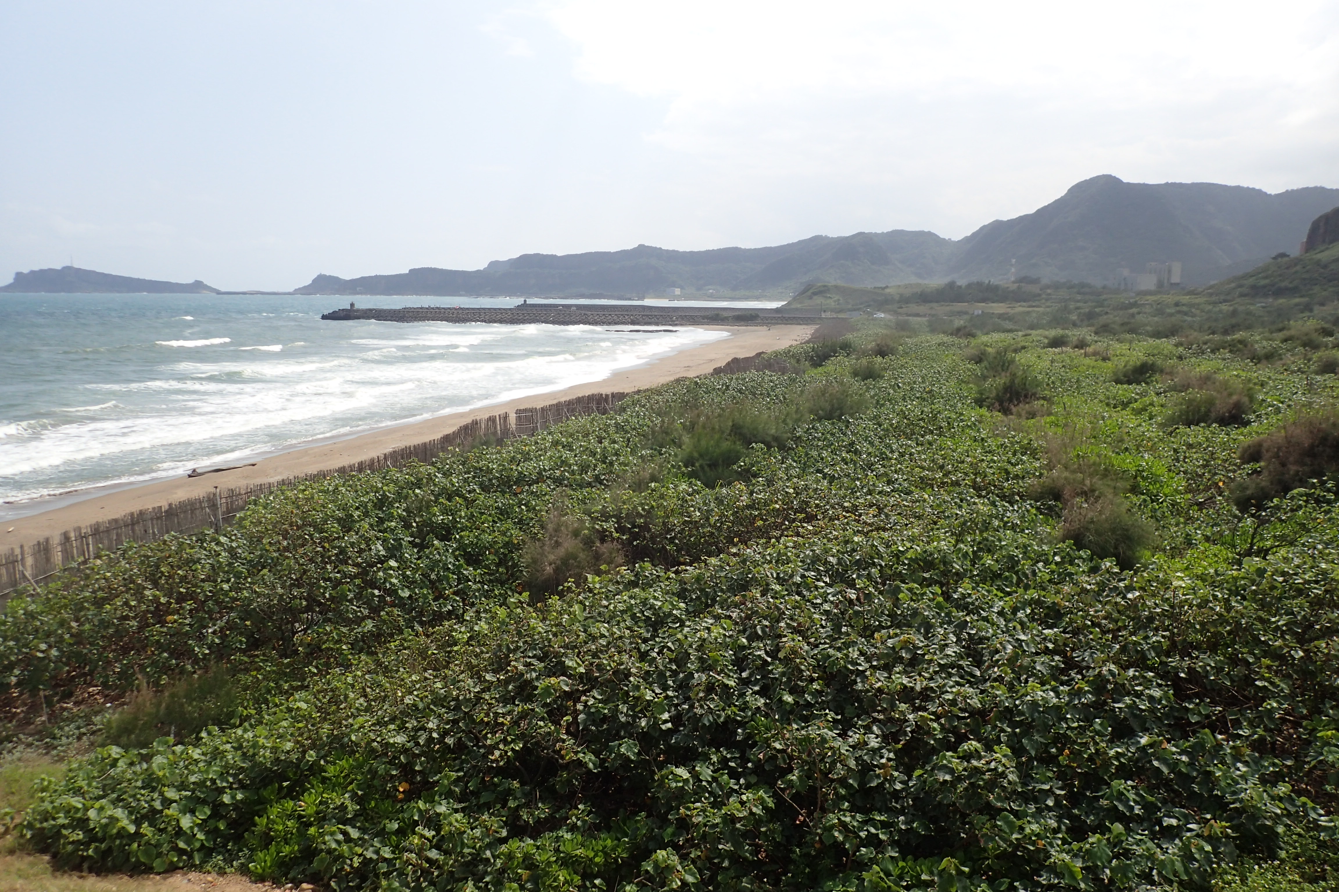 物件照片的詳細放大