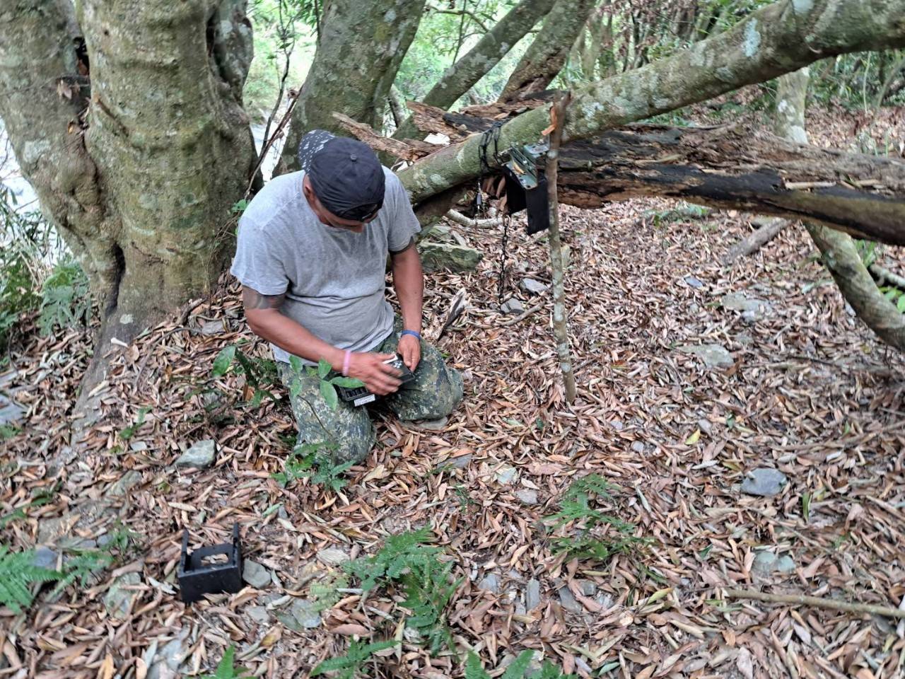 物件照片的詳細放大