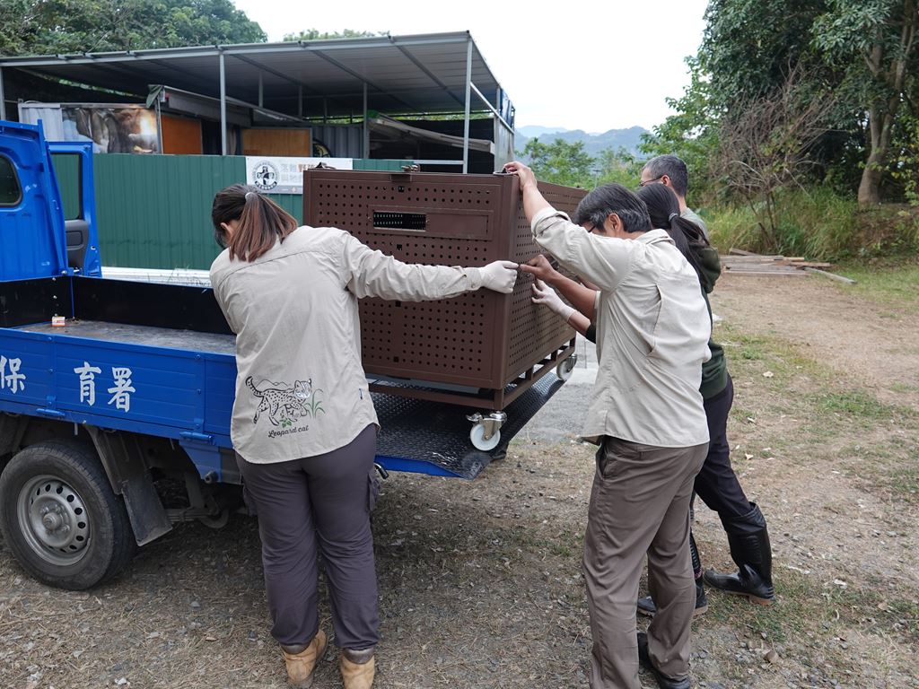 物件照片的縮圖