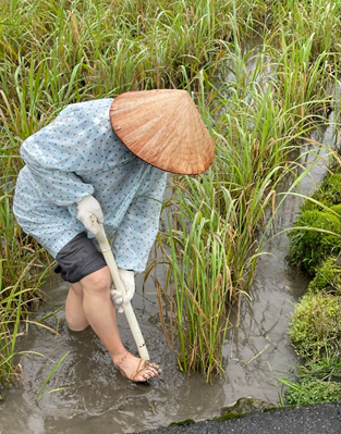 物件照片的詳細放大
