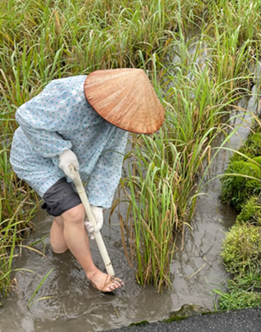 物件照片的縮圖