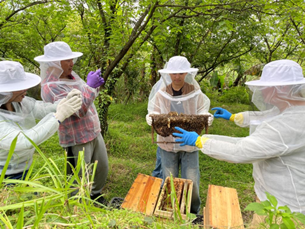 物件照片的縮圖