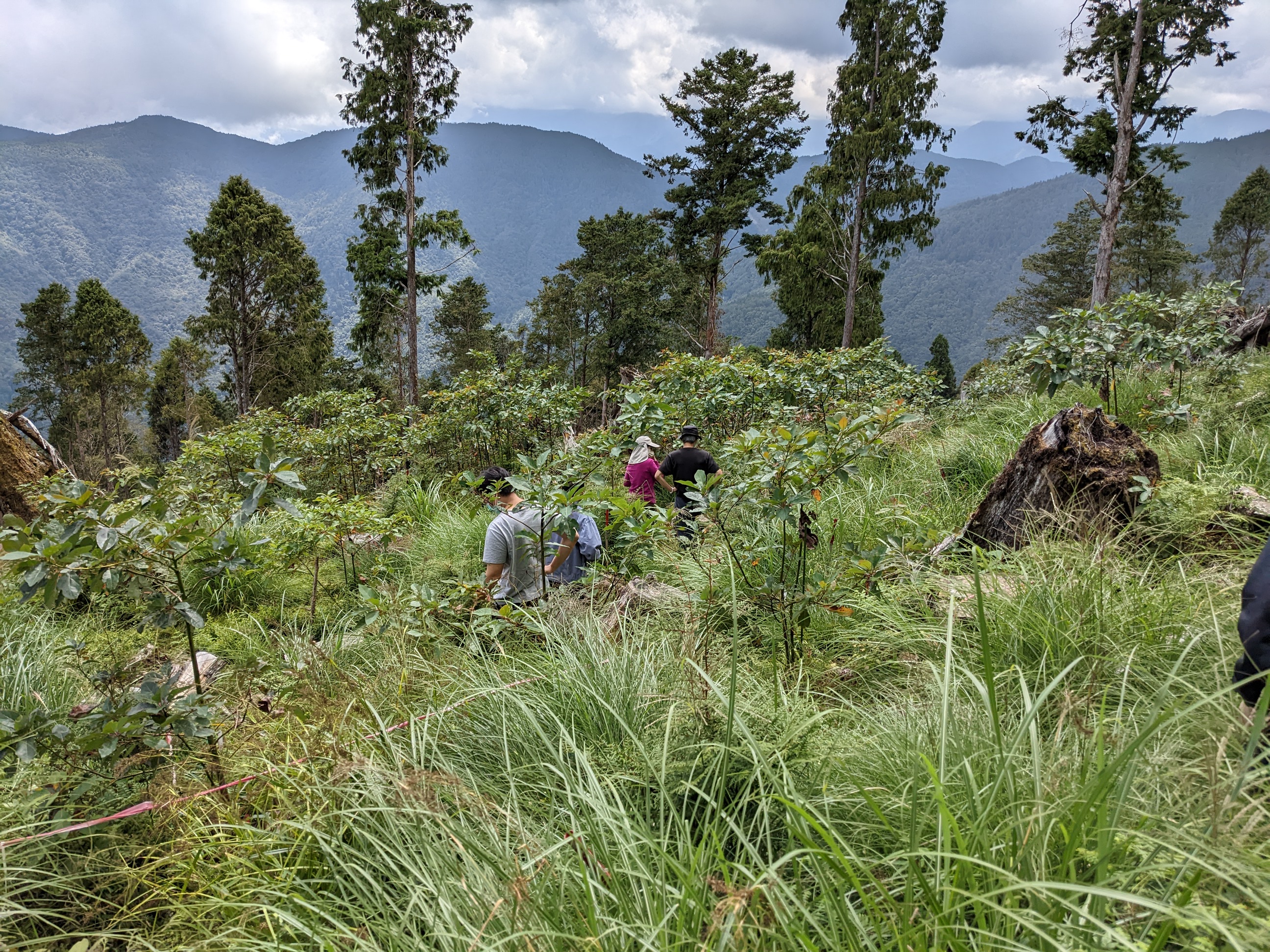 物件照片的詳細放大