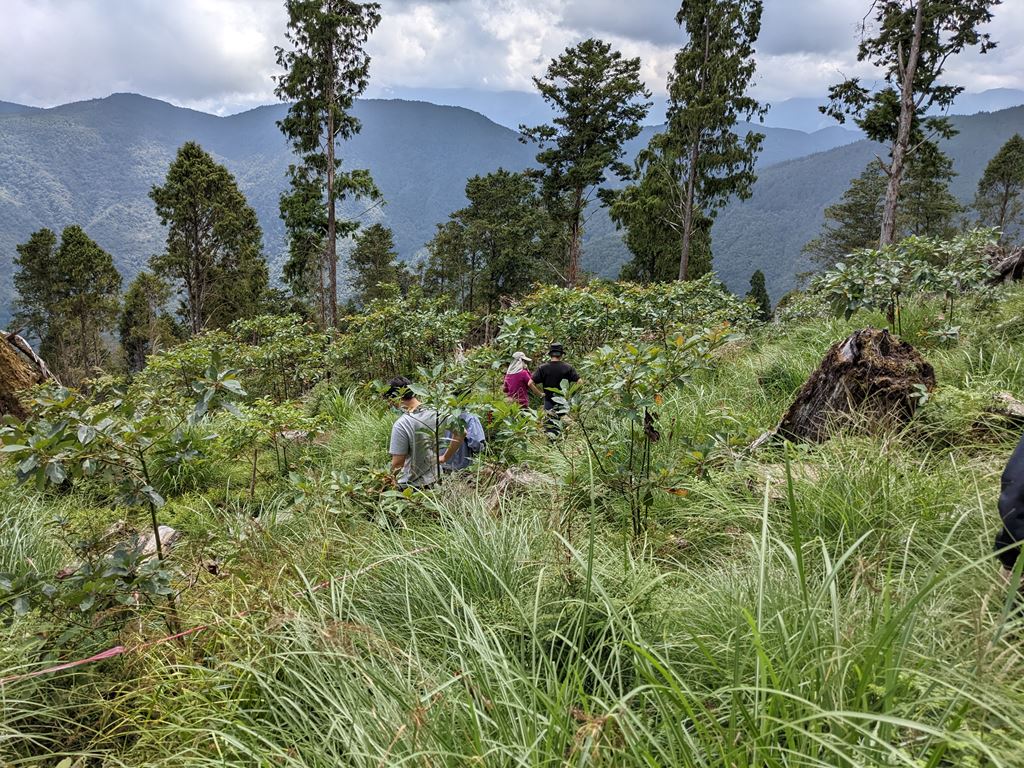 物件照片的縮圖