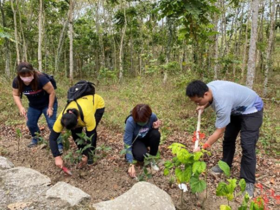 物件照片的詳細放大