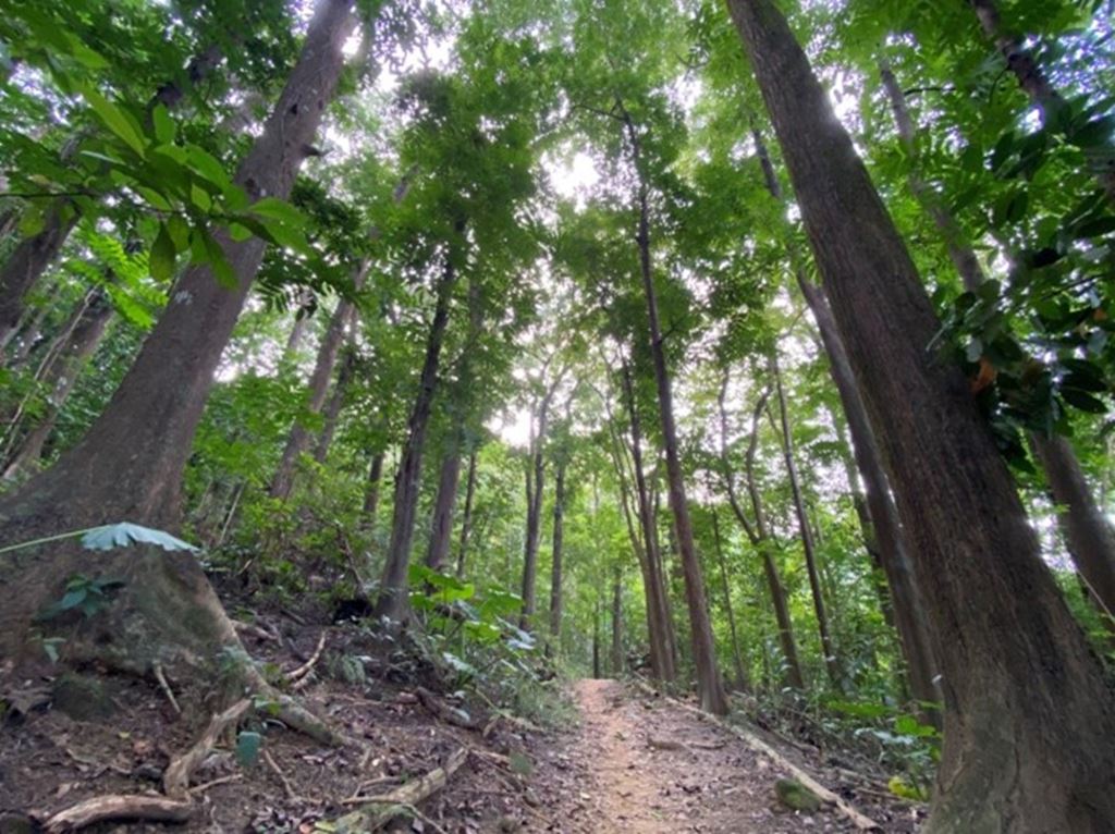 物件照片的縮圖