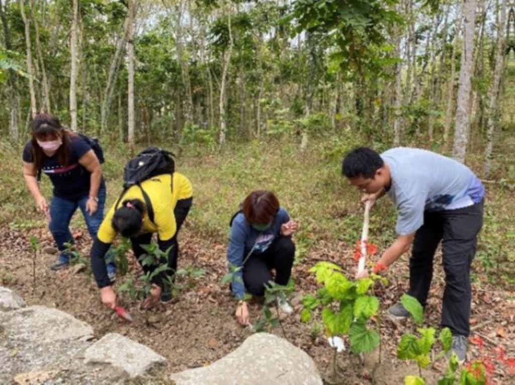 物件照片的縮圖