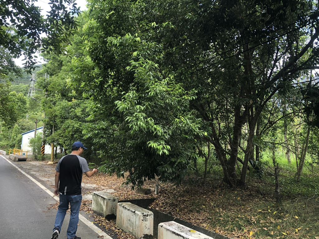 物件照片的縮圖