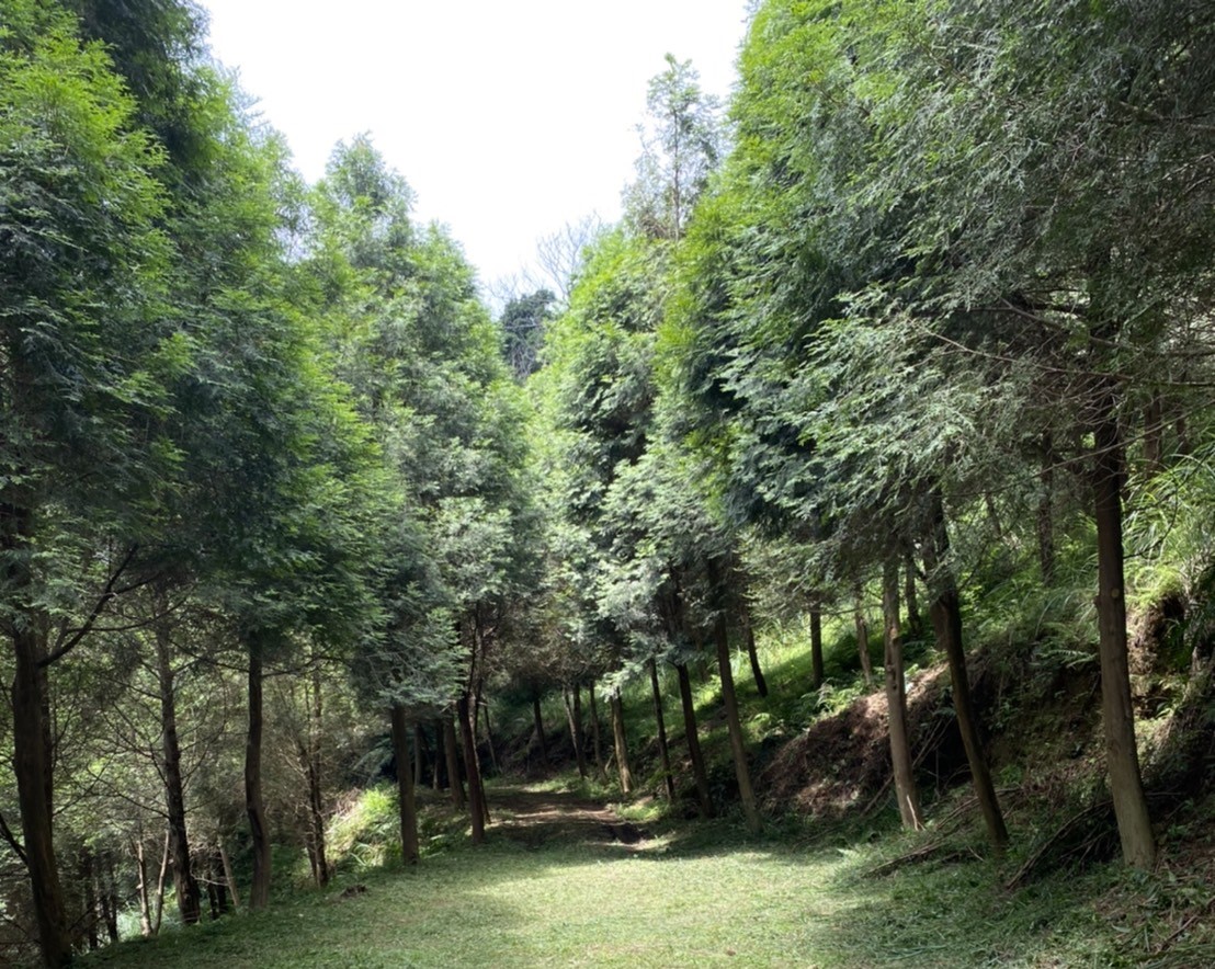 物件照片的詳細放大