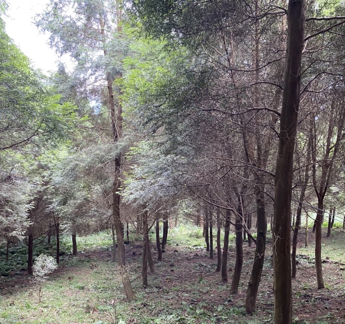 物件照片的詳細放大