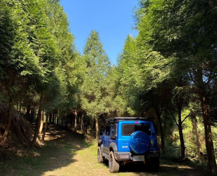 物件照片的縮圖