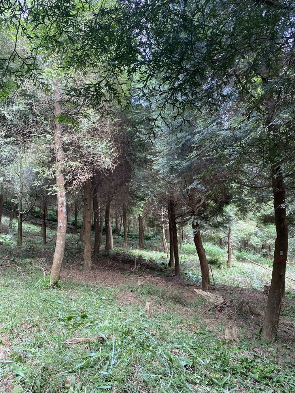 物件照片的縮圖