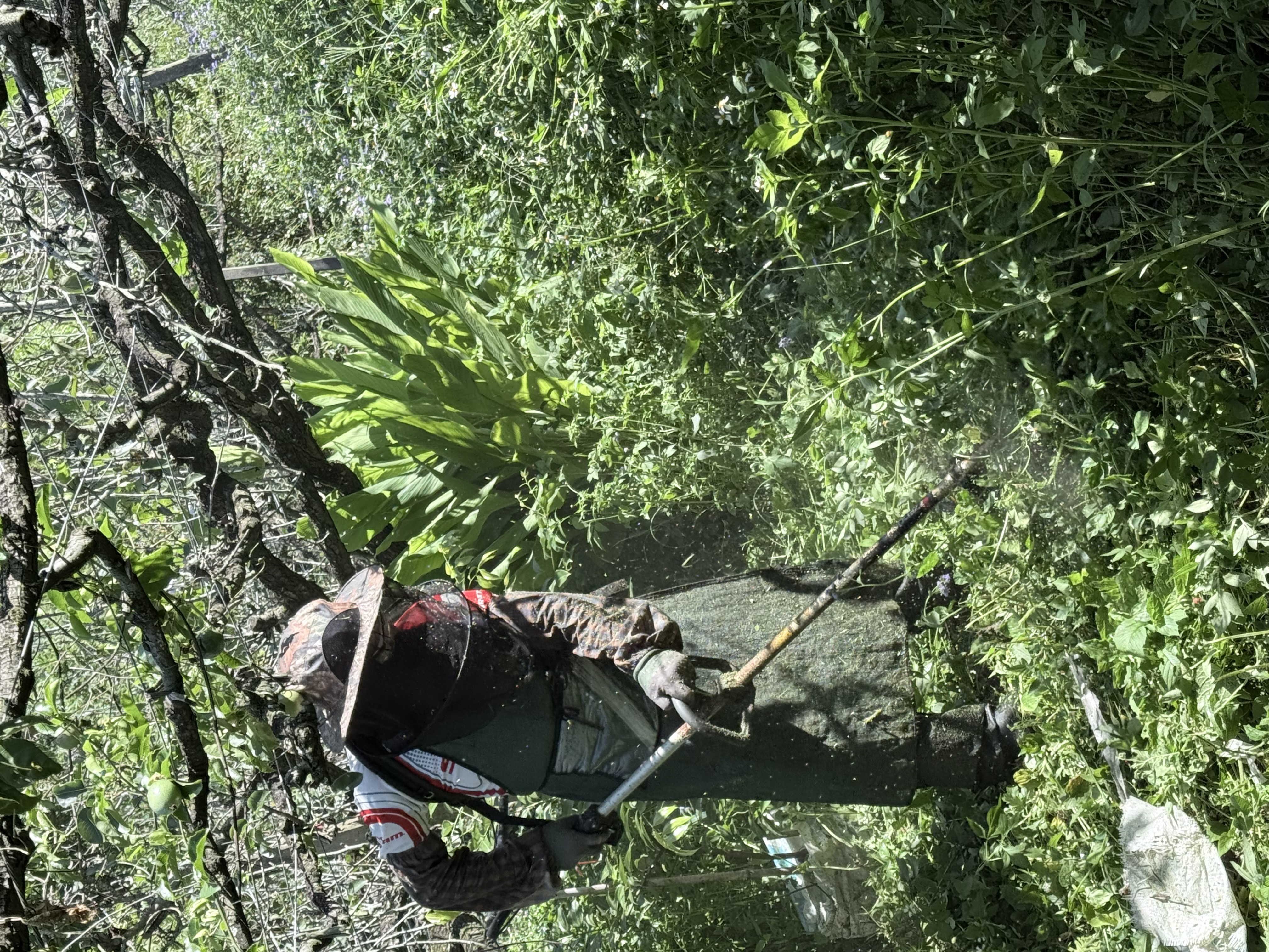 物件照片的詳細放大