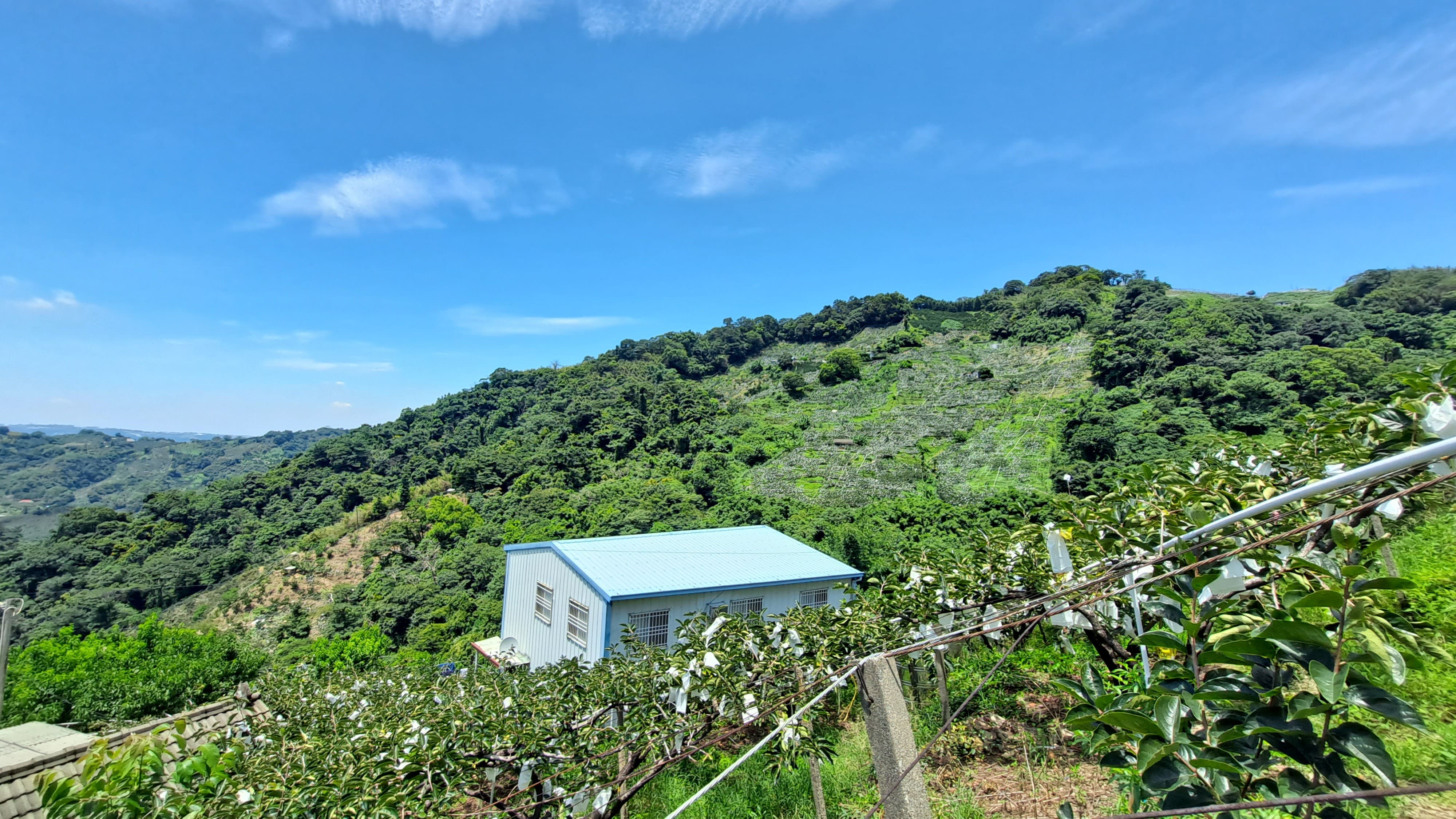 物件照片的詳細放大