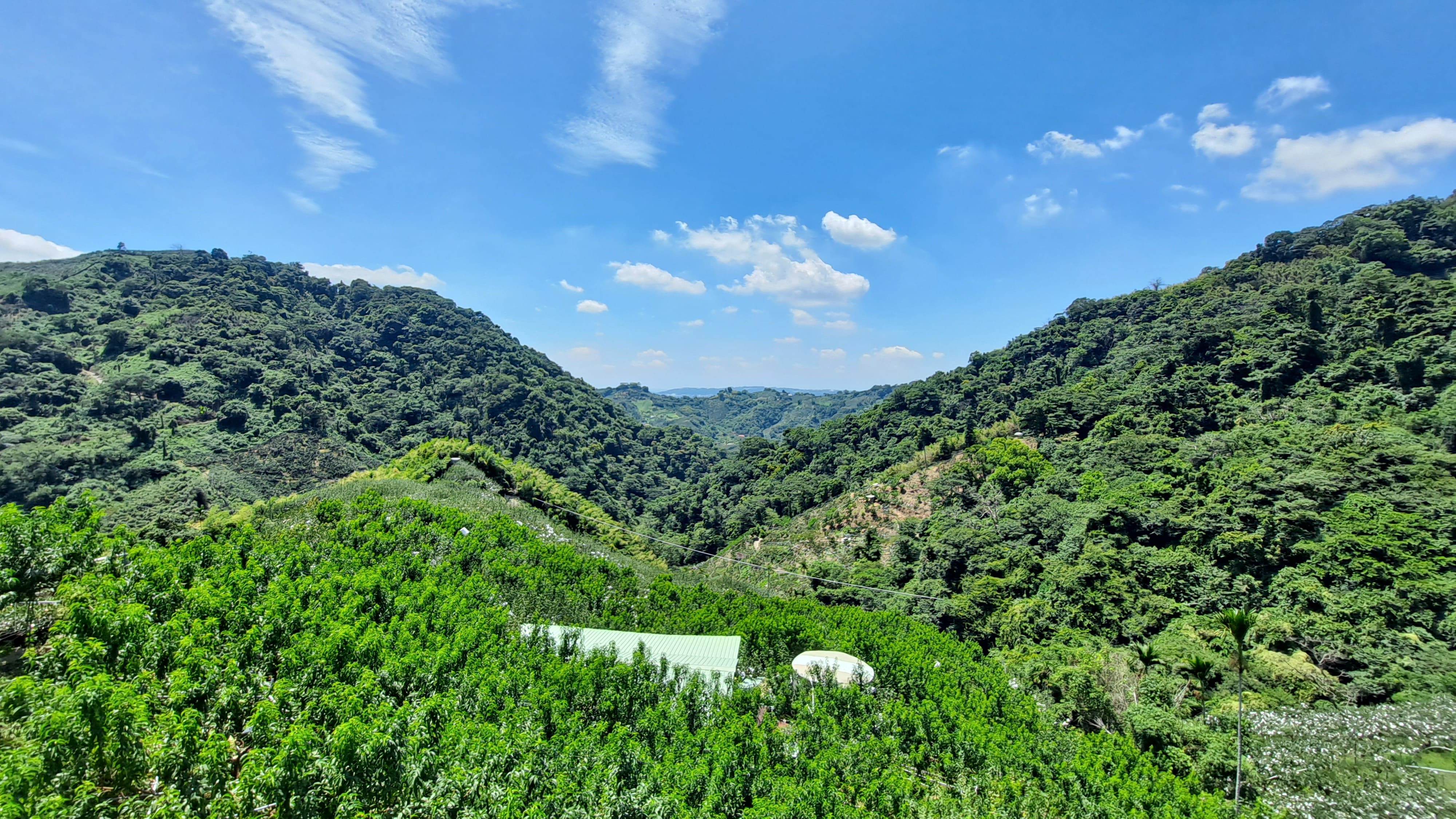 物件照片的詳細放大