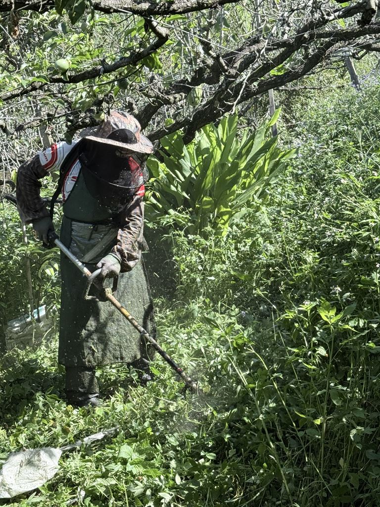 物件照片的縮圖