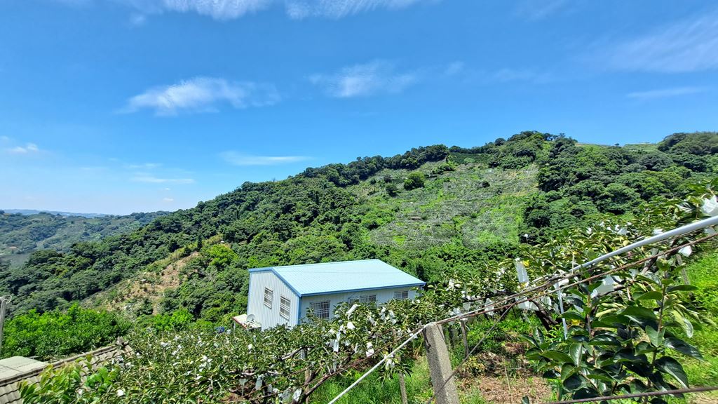 物件照片的縮圖